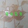 旁白先生