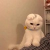 万锦系统