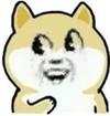 大黄