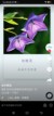 玫瑰