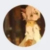 懒轩