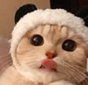 小宇宙