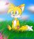 Tails.Doll