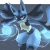 Lucario