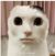 万能角色