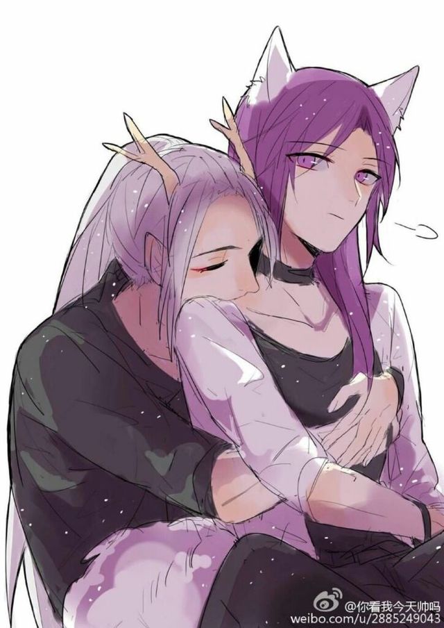 信白之相遇是福是祸?