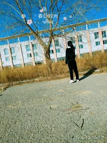 青春校园；懵懂爱情
