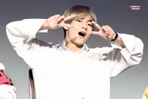 BTS：宠物男友