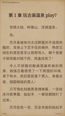 冷面王爷之杀手妻