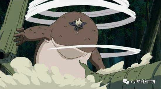 火影忍者之十二勾玉写轮眼