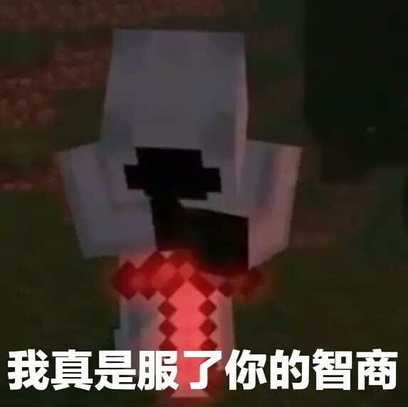 我的世界—故事的开头