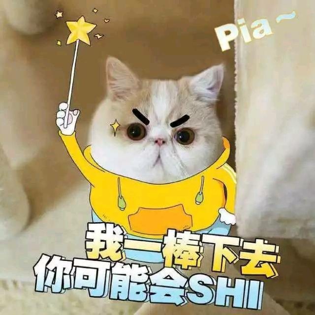 9-哈哈哈红红火火恍恍惚惚-可爱表情包-话本小说网