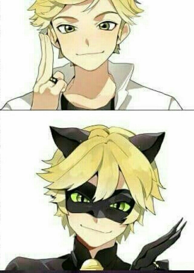 瓢虫雷迪和黑猫诺尔的恋爱