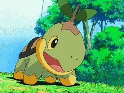 作者作者作者下面是草苗龟的作者作者作者作者作者作者作者作者作者