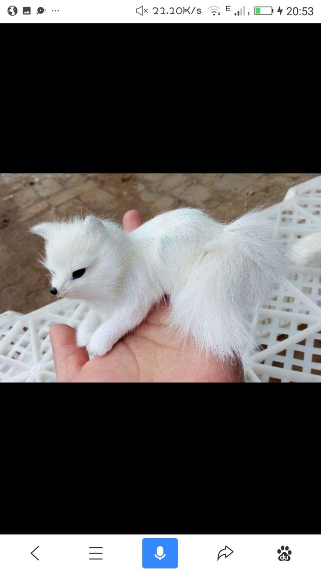 京剧猫之瞒不过的秘密