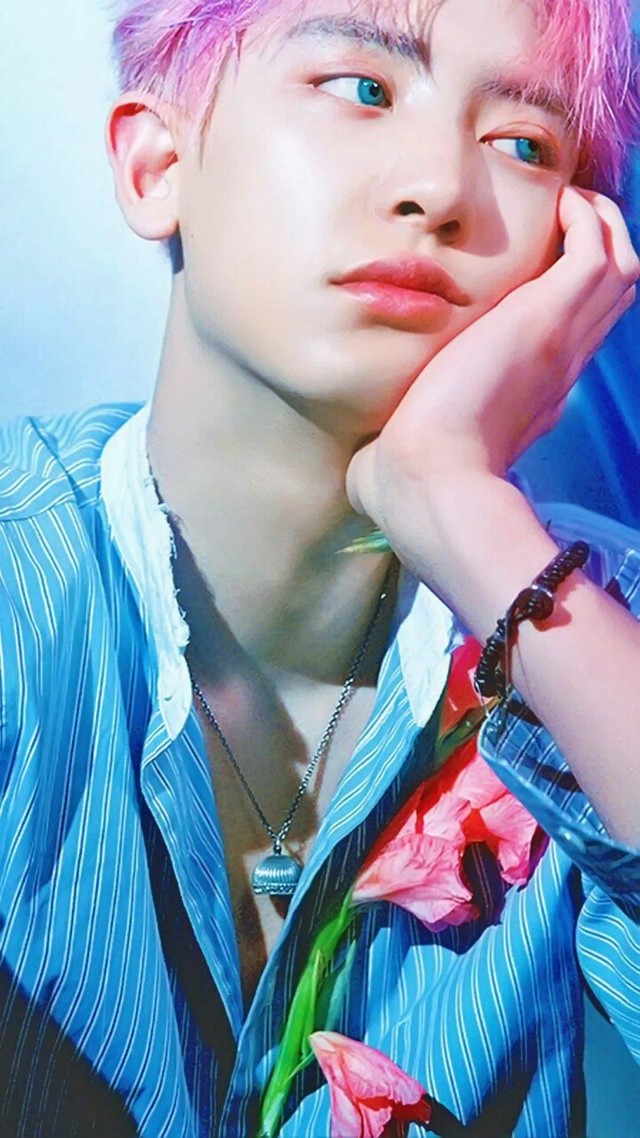 男主·朴灿烈,高冷学霸,与宿主青梅竹马