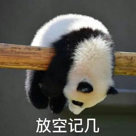 熊猫头表情包 愣住图片