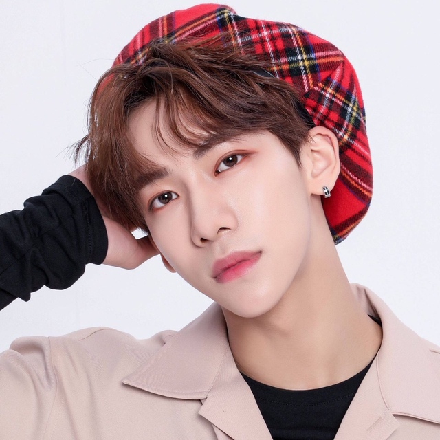 丁泽仁 头像 素材-idol图库贩卖机-话本小说网