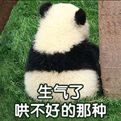 影视同人小说 陈情令之忘殊你仰着脑袋看清了蓝忘机的表情,竟是带着几