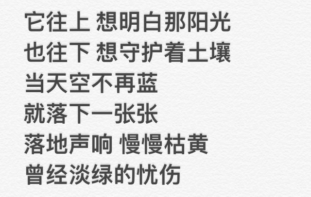 《树读》-王俊凯-甜味音乐馆-话本小说网