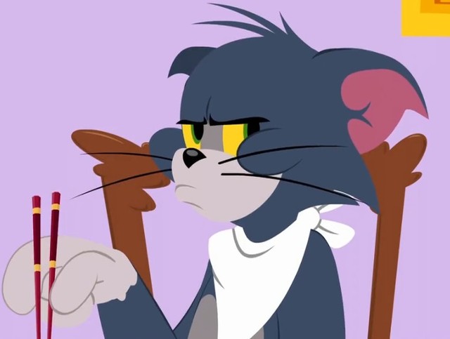 猫和老鼠之猫鼠的生活