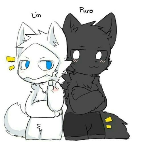 普罗和lin的孩子-穿越changed与其他兽的生活-话本小说网