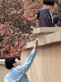 彼岸之后是相遇