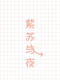 紫苏与夜