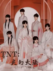 TNT：灵幻大陆