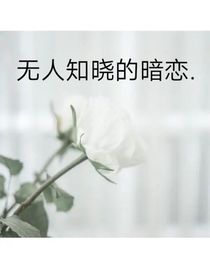 无人知晓的暗恋……