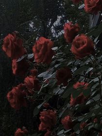 等恋