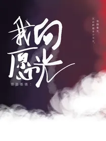 怪盗基德：我愿向光