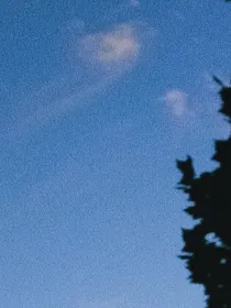 她与阳光