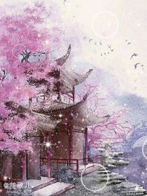 寻找时空花