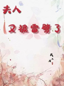 夫人又被雷劈了