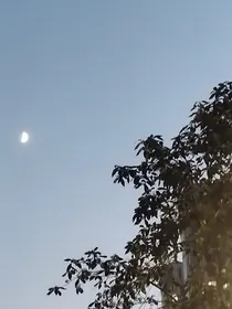嫁错了