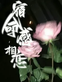 宿命感相恋