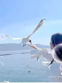 爱而不得的爱……