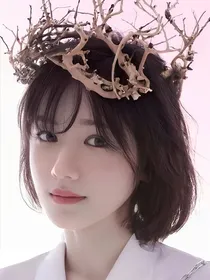校园之辉