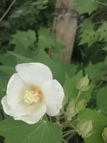 脑洞文整理