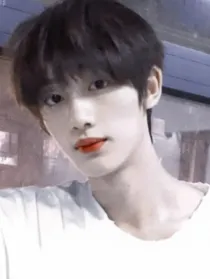 嘉祺的小狐狸阿程