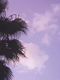 画像屿临铺