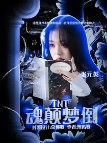 TNT：魂颠梦倒