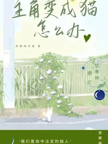 主角变成猫怎么办