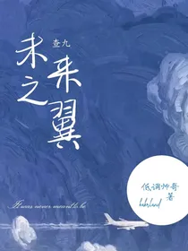 查理九世之未来之翼