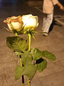 你卖我多少时间