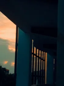 那不是我的考拉