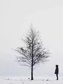 她和她与他的江山