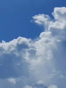 爱常年冬眠