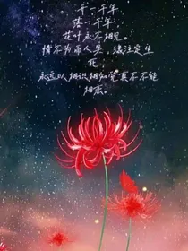 恶魔羽翼下的天使